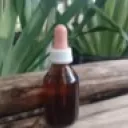 Terapia Floral 