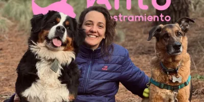Anto Adiestramiento — foto 1
